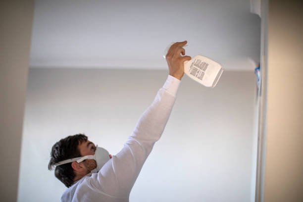 Best Best Mold Removal Companies  in Northville, MI
